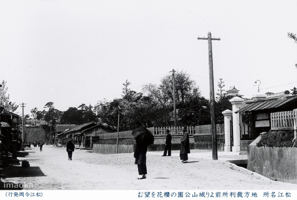 地方裁判所前より城山公園の櫻花を望む